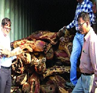 Gastrointestinal tract increase | रक्तचंदन तस्करीत वाढ Gastrointestinal tract increase | रक्तचंदन तस्करीत वाढ