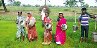 The farmhouse water cavity | शेतातील पऱ्हाला कावडीने पाणी The farmhouse water cavity | शेतातील पऱ्हाला कावडीने पाणी