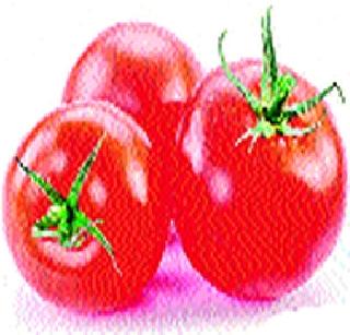 Officials did the Pankanme | अधिकाऱ्यांनी केले पंचनामे