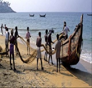 Victims of 13 fishermen taken by palm | पामबीचने घेतले १३ मच्छीमारांचे बळी Victims of 13 fishermen taken by palm | पामबीचने घेतले १३ मच्छीमारांचे बळी