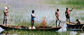 Employment Fisheries: | रोजगार मासेमारीचा :