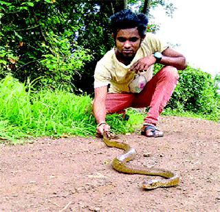 Sherpitr became a professional dancer in the daytime | दिव्यातील प्रोफेशनल डान्सर झाला सर्पमित्र