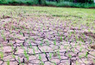 Trishna: | तृष्णा :