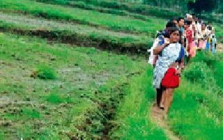 Sowing of irrigated area of 1, 66 lakh hectare area | १़६६ लाख हेक्टर क्षेत्रातील पेरणी खोळंबली Sowing of irrigated area of 1, 66 lakh hectare area | १़६६ लाख हेक्टर क्षेत्रातील पेरणी खोळंबली