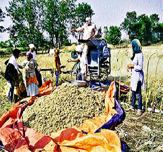 Guaranteed, if you can solve the problem then you will | खात्री वाटली, सोडवले तर सुटतीलही प्रश्न Guaranteed, if you can solve the problem then you will | खात्री वाटली, सोडवले तर सुटतीलही प्रश्न