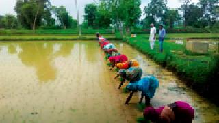 Priority of Mr. method: | श्री पद्धतीला प्राधान्य :