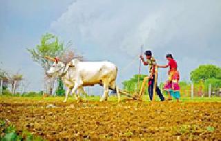 32 percent sowing is incomplete | ३२ टक्के पेरण्या अपूर्णच 32 percent sowing is incomplete | ३२ टक्के पेरण्या अपूर्णच