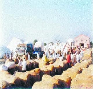 Vidarbha's cotton process came to the industry | विदर्भातील कापूस प्रक्रिया उद्योगाला आली अवकळा Vidarbha's cotton process came to the industry | विदर्भातील कापूस प्रक्रिया उद्योगाला आली अवकळा