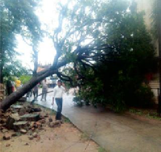Thunder storm ... | थैमान वादळाचे...