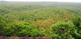 Ashad's Jewelry: | आषाढाचे आभूषण : Ashad's Jewelry: | आषाढाचे आभूषण :