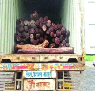 Three crores of bloodchain seized | तीन कोटींचे रक्तचंदन जप्त