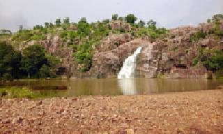 Flowers Beauty Hazarafalla: | फुलले सौंदर्य हाजराफॉलचे :