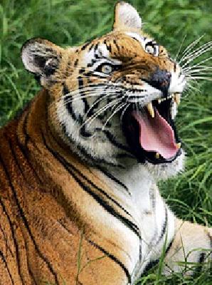 Damages | सव्वा कोटींची नुकसानभरपाई