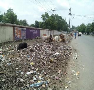 'Dumping Ground' became the path of Akot | आकोट मार्ग बनला ‘डम्पिंग ग्राऊंड’ 'Dumping Ground' became the path of Akot | आकोट मार्ग बनला ‘डम्पिंग ग्राऊंड’