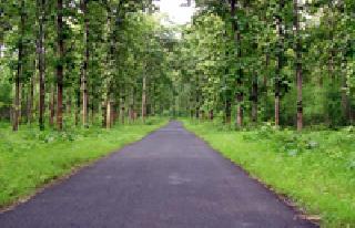 Add Khad Sangli to the 'buffer zone' area | खडसंगीला ‘बफरझोन’ क्षेत्रात समाविष्ट करा