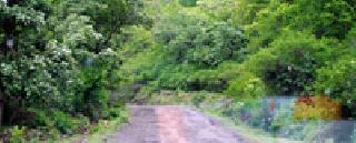 Waiting for the developer: | वाट पहावी विकासवाऱ्याची : Waiting for the developer: | वाट पहावी विकासवाऱ्याची :