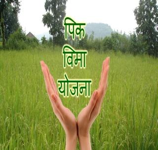 Liquid to fill the crop insurance | पीक विमा भरण्यासाठी तारांबळ Liquid to fill the crop insurance | पीक विमा भरण्यासाठी तारांबळ