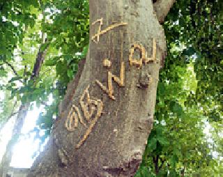 Disinfection of nature in the name of love | प्रेमाच्या नावावर निसर्गाचे विद्रुपीकरण Disinfection of nature in the name of love | प्रेमाच्या नावावर निसर्गाचे विद्रुपीकरण