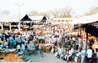 Farmers' seeds unsafe in the market committee | बाजार समितीत शेतकऱ्यांचे धान्य असुरक्षित