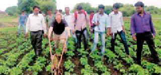 American John Slate took the divergent experience | अमेरिकन जॉन स्लेटने घेतला डवरे चालविण्याचा अनुभव