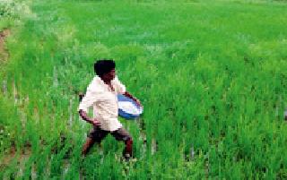 Khataala Sanjivani: | खताला संजीवनी :