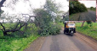 Hurricane damage to trees ... | वादळाने झाडांचे नुकसान...