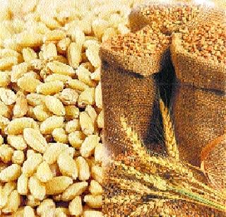 Import duty on wheat import | गव्हाच्या आयातीवर आयात शुल्क Import duty on wheat import | गव्हाच्या आयातीवर आयात शुल्क