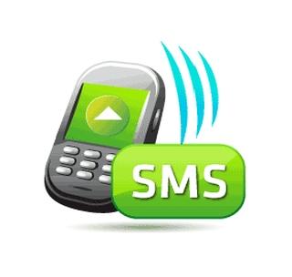 Again SMS facility for cheap grain information | स्वस्त धान्याच्या माहितीसाठी पुन्हा एसएमएस सुविधा Again SMS facility for cheap grain information | स्वस्त धान्याच्या माहितीसाठी पुन्हा एसएमएस सुविधा