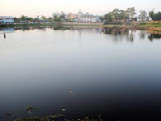 The existence of ponds threatens existence | तलावांचे अस्तित्व धोक्यात