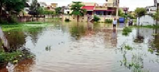 The form of 'Beta' came from colony | वसाहतीला आले ‘बेटा’चे रूप The form of 'Beta' came from colony | वसाहतीला आले ‘बेटा’चे रूप