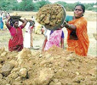 RHoyo's job card will be given to the Palika Panchayat | रोहयोचे जॉबकार्ड देणार पालिका-पंचायत