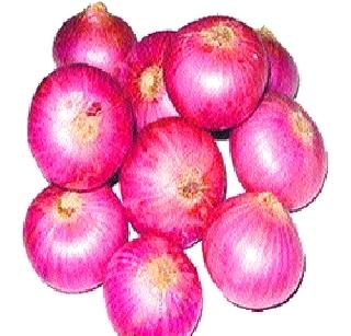 Lasaglagala onion Rs 47! | लासलगावला कांदा ४७ रुपये किलो ! Lasaglagala onion Rs 47! | लासलगावला कांदा ४७ रुपये किलो !