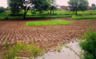 Waiting for irrigation: | सिंचनाची प्रतीक्षा :