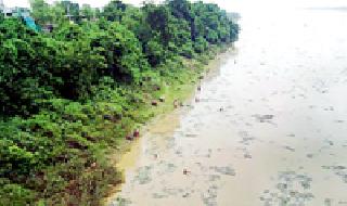 Lightning on the hill collapsed | डोंग्यावर वीज कोसळली