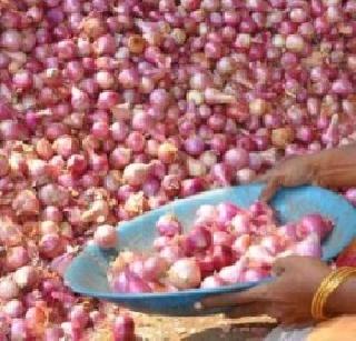84 tonnes of onion in Egypt from Mumbai | इजिप्तवरून ८४ टन कांदा मुंबईत