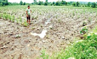 Farmers havoc on family due to overuse of farming | अतिवृष्टीत शेती खरडून गेल्याने शेतकरी कुटुंब हवालदिल