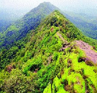 Central Government bulldozer on Karnala Wildlife Sanctuary | कर्नाळा अभयारण्यावर केंद्र सरकारचा बुलडोझर Central Government bulldozer on Karnala Wildlife Sanctuary | कर्नाळा अभयारण्यावर केंद्र सरकारचा बुलडोझर