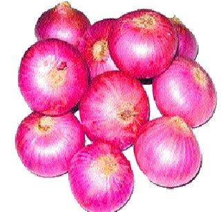 A Lakhana onion stolen in Ahmednagar! | अहमदनगरमध्ये शेतातील एक लाखाचा कांदा चोरीला!