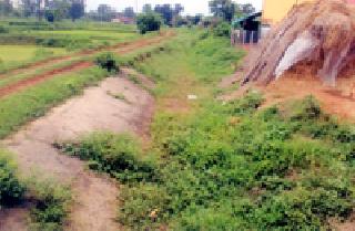 Transplanting the canal of Roho | रोहयोतून करणार कालव्याचा कायापालट Transplanting the canal of Roho | रोहयोतून करणार कालव्याचा कायापालट