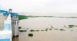 Pollution in river banks: | नदीपात्रात प्रदूषण :