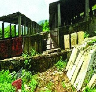 Health risk due to pig farming | डुक्कर फार्ममुळे आरोग्य धोक्यात