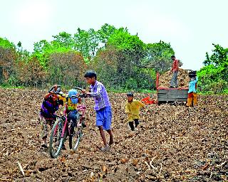 Rane open to play: | खेळायला रान मोकळे :