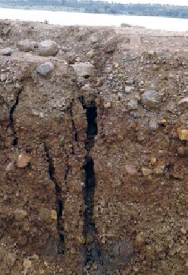 Even after the repair, the pajar went to the wall of the lake | डागडुजीनंतरही उमरी पाझर तलावाच्या भिंतीला गेले तडे