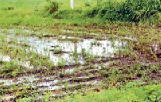 Pale in the fields due to BSNL fault | बीएसएनएलच्या चुकीमुळे शेतात तळे