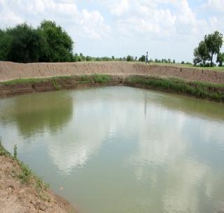 In the first phase of Jalakit Shivar campaign, Faza | जलयुक्त शिवार अभियानाचा पहिल्याच टप्प्यात फज्जा