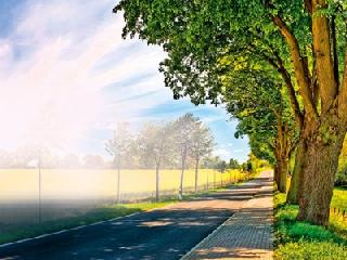 Green highway of development | विकासाचा हरित महामार्ग Green highway of development | विकासाचा हरित महामार्ग