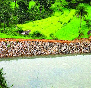 Cannabis | पाणलोटला भ्रष्टाचाराचे गालबोट