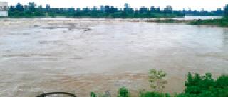 Heavy rain in Sakoli taluka | साकोली तालुक्यात अतिवृष्टी