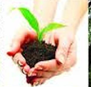 Aim of 6 crore 45 lakhs plantation purpose | ६ कोटी ४५ लाख वृक्ष लागवडीचे उद्दिष्ट Aim of 6 crore 45 lakhs plantation purpose | ६ कोटी ४५ लाख वृक्ष लागवडीचे उद्दिष्ट