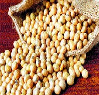 Enhanced oilseeds sector in the country! | देशात तेलबिया क्षेत्र वाढविण्यावर भर! Enhanced oilseeds sector in the country! | देशात तेलबिया क्षेत्र वाढविण्यावर भर!